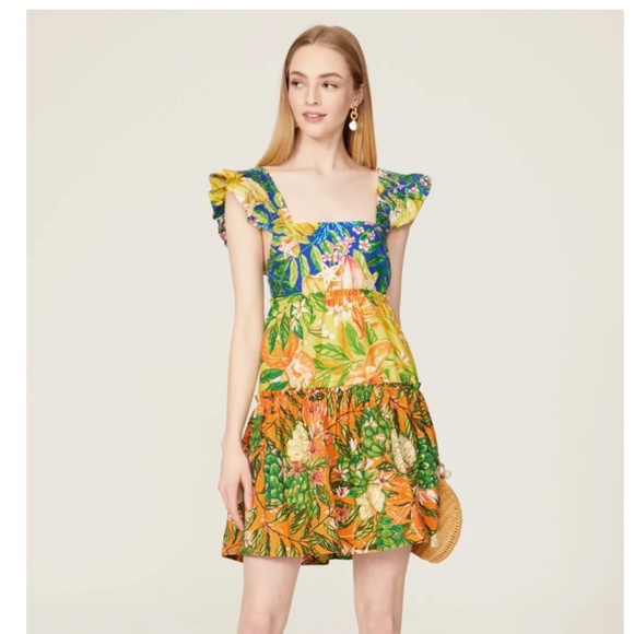FARM Rio Dresses & Skirts - FARM RIO Caipirinha Tiered Cotton Minidress Size S